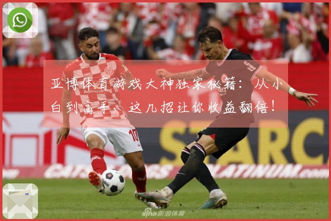 亚博体育游戏大神独家秘籍：从小白到高手，这几招让你收益翻倍！