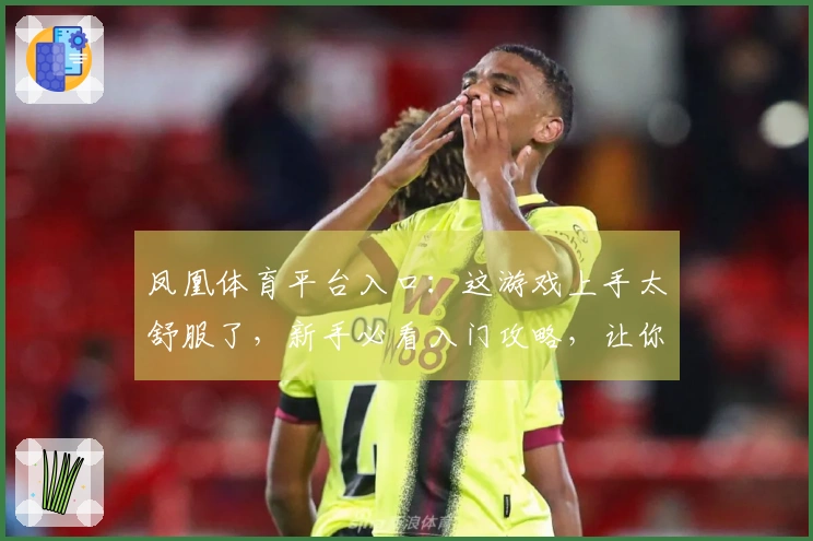 凤凰体育平台入口：这游戏上手太舒服了，新手必看入门攻略，让你少走弯路！